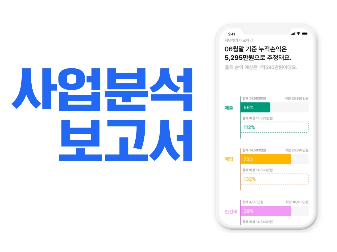 사업분석 보고서 표지 예시